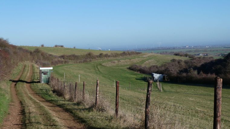 Ein ruhiger Weg führt durch eine grüne Landschaft mit sanften Hügeln. Im Hintergrund sind einige Gebäude und ein klarer Himmel zu sehen.