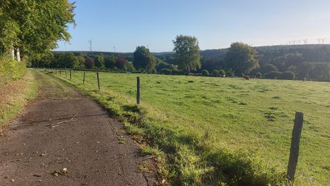 A quiet path along a meadow with green grass and trees. In the background, gentle hills and power poles are visible.
