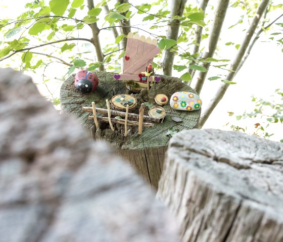 Découvrir les maisons des elfes sur le sentier des elfes/de la jungle, © Eifel Tourismus GmbH, AR-shapefruitAG