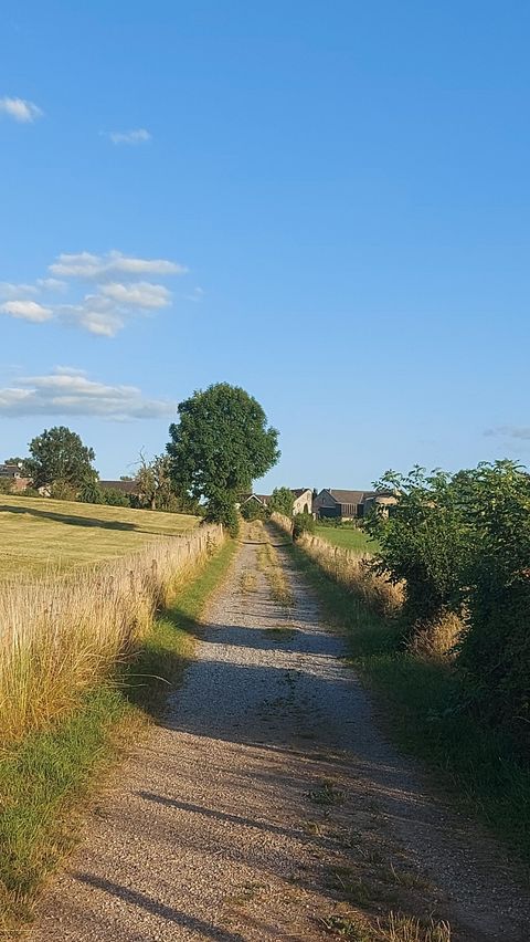 A quiet path winds through a rural landscape. In the background, there are some houses and a blue sky.