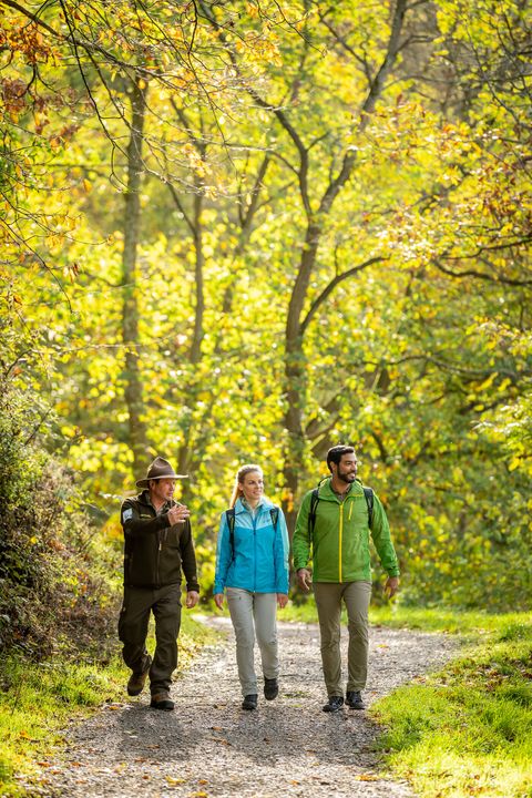 Auf dem Bild ist ein Ranger vom Nationalpark Eifel und zwei Personen die zusammen im Wald wandern