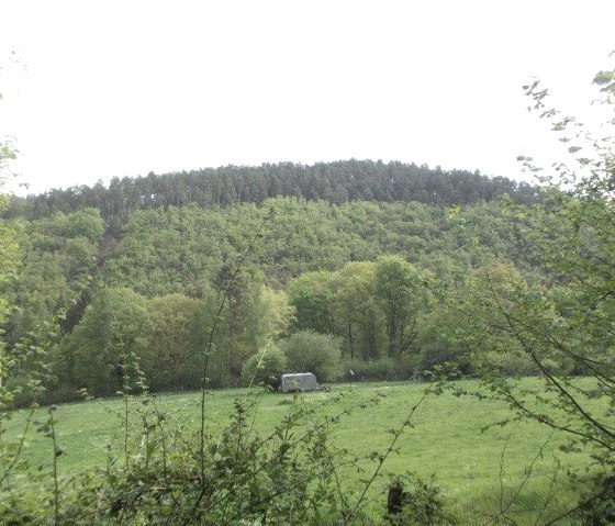 Pflanzberg, © Eifel heimisch