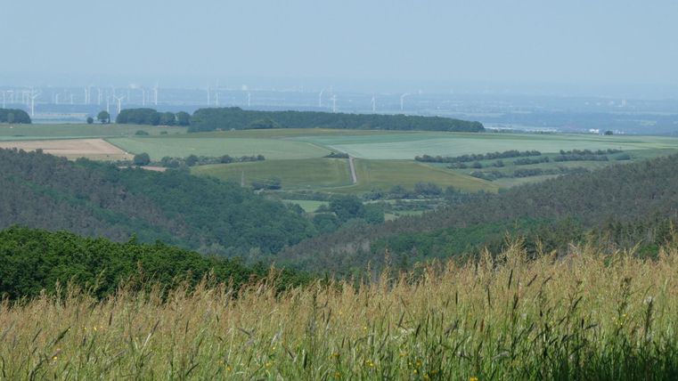 Eine grüne Landschaft mit sanften Hügeln und Wiesen. Im Hintergrund sind Windkraftanlagen und ein blauer Himmel sichtbar.