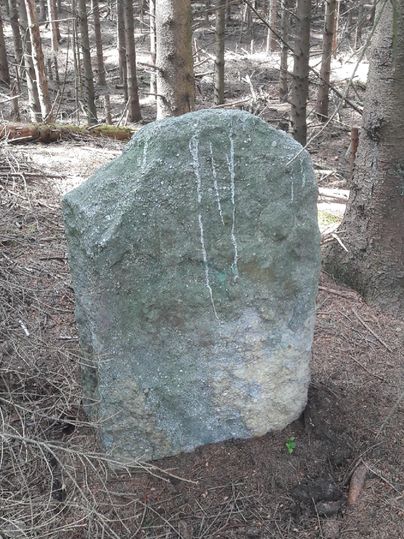 Ein großer, grauer Stein steht im Wald zwischen Bäumen. Der Boden um den Stein ist mit trockenem Laub und Erdreich bedeckt.