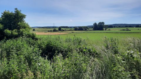 Eine weite, grüne Landschaft mit Feldern und Bäumen. Der Himmel ist klar und blau, ideal für einen ruhigen Tag in der Natur.
