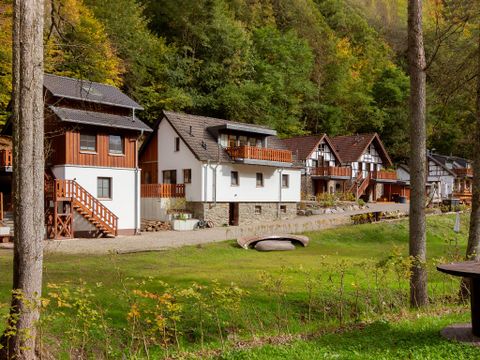 Eine Reihe von charmanten Ferienhäusern in einer grünen Landschaft. Im Hintergrund sind Bäume und eine ruhige Umgebung zu sehen.