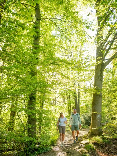 Een paar wandelt op een wandelpad door een groene bos. De zon schijnt door de bladeren van de bomen en creëert een warme sfeer.