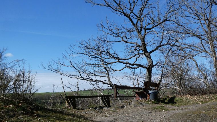 Ein ruhiger Weg mit einer schlichten Holzbank unter einem kahlen Baum. Der Himmel ist klar und blau, und die Umgebung wirkt friedlich.