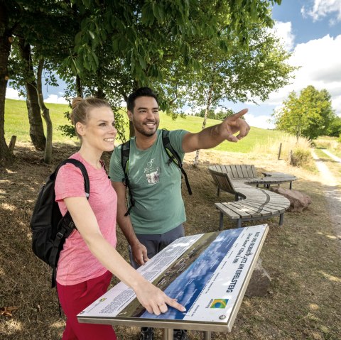 Aire de repos et de découverte sur le sentier de l'Eifel, © Eifel Tourismus GmbH, Dominik Ketz