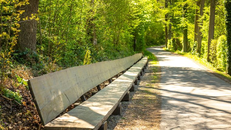 Un long banc en bois se trouve au bord du chemin dans une forêt verte. Le soleil brille à travers les arbres et crée une atmosphère agréable.