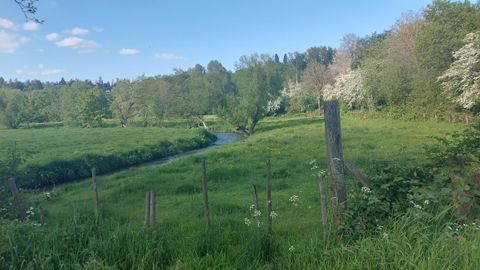 Eine grüne Landschaft mit einem kleinen Fluss und vielen Bäumen. Im Hintergrund sind blühende Sträucher zu sehen.