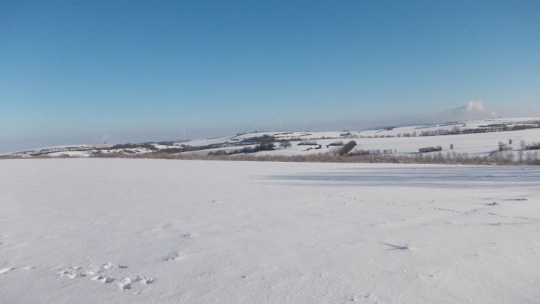Eine weite, schneebedeckte Landschaft unter einem klaren blauen Himmel. Im Hintergrund sind sanfte Hügel sichtbar.