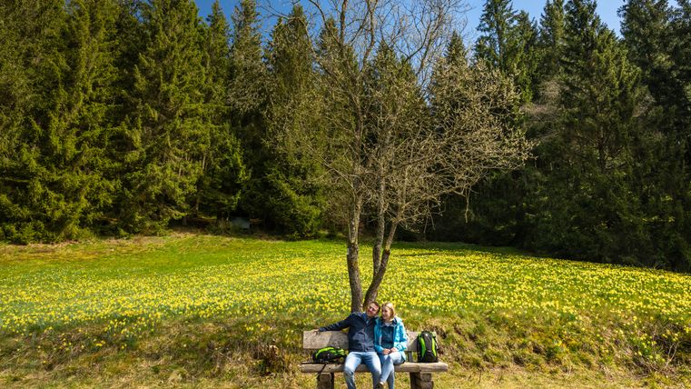 Zwei Personen sitzen auf einer Bank vor einer Wiese mit blühenden Narzissen und einem Wald im Hintergrund.