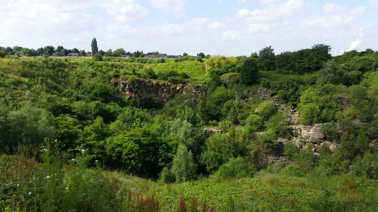 Eine grüne Landschaft mit dichtem Wald und Sträuchern. Im Hintergrund sind sanfte Hügel und ein heller Himmel zu sehen.