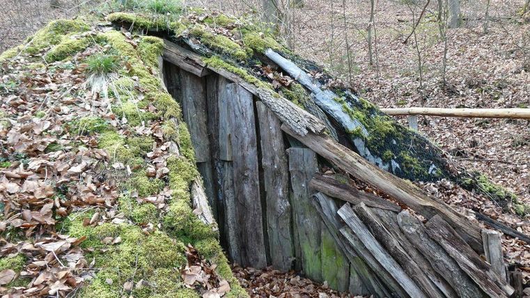 Ein alter Kohlemeiler im Wald, bedeckt mit Moos und umgeben von Laub. Die Struktur besteht aus Holz und zeigt Spuren der Verwitterung.