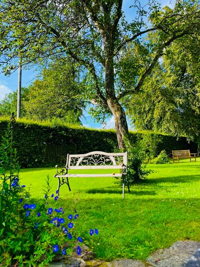 Eine ruhige Parklandschaft mit einer weißen Bank unter einem Baum. Der Rasen ist grün und Blumen blühen im Vordergrund.