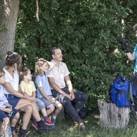 Get to know the beaver of the Rureifel, © Eifel Tourismus GmbH_Vollmer