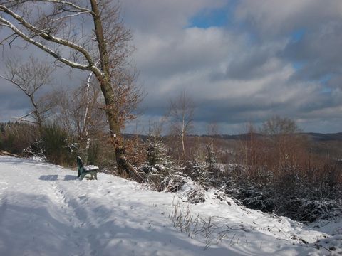Eine verschneite Landschaft mit kahlen Bäumen und einem bewölkten Himmel. Im Vordergrund steht eine grüne Bank.