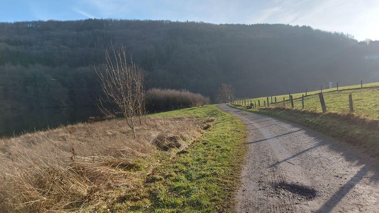 Ein ruhiger Weg, der durch eine grüne Landschaft führt. Im Hintergrund sind sanfte Hügel und ein klarer Himmel zu sehen.