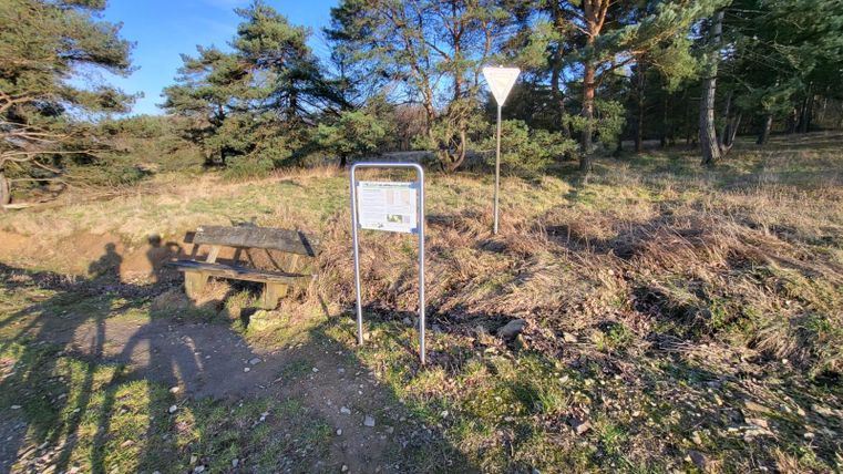 Eine Bank steht auf einem Weg in der Natur, umgeben von Bäumen. Ein Schild weist auf eine besondere Information hin.