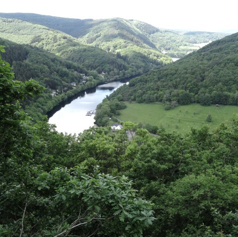 Vue sur l'Eifel "Luna, © Rureifel-Tourismus e.V.