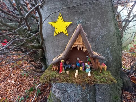 Eine kleine Krippe mit Figuren steht unter einem Baum. Oben hängt ein gelber Stern.