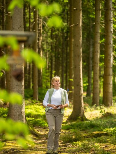 Een vrouw wandelt door een rustige bos met hoge bomen. De zon schijnt door het loof en creëert een aangename sfeer.