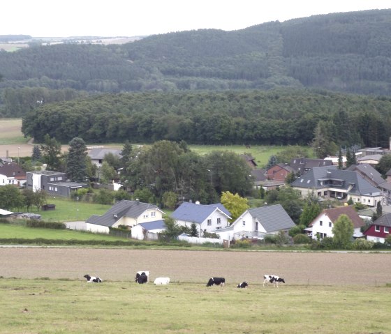 Der Eifelblick Schafsbenden, © Rureifel-Tourismus e.V.