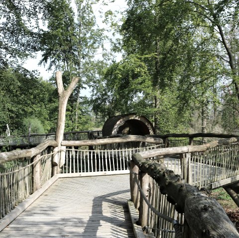 Chemin sauvage, © J. Dörstel / Nationalpark Eifel