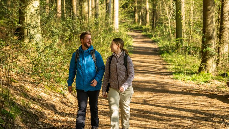 Un couple marche le long d'un sentier forestier pittoresque. Le soleil brille à travers les arbres et crée une atmosphère accueillante.