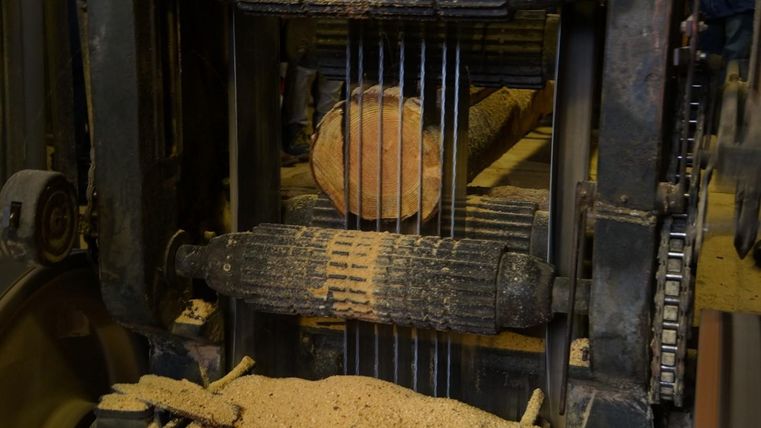 Eine Holzverarbeitungsmaschine mit einer Holzscheibe in der Mitte. Rund um die Maschine liegt Holzspäne.