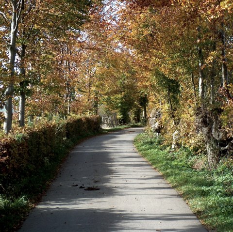 Circuit de randonnée "Heckenlandroute, © Monschauer Land