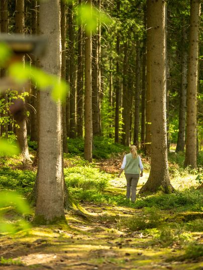 Een vrouw loopt over een rustig bospad. Hoge bomen en groene mos omringen haar.