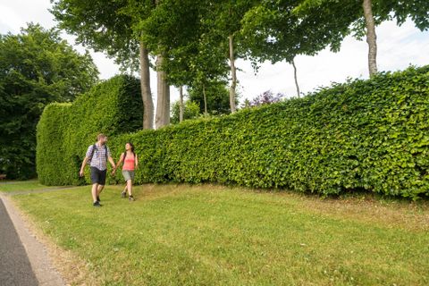 Ein Paar spaziert an einer hohen Hecke entlang. Die Umgebung ist grün und einladend.