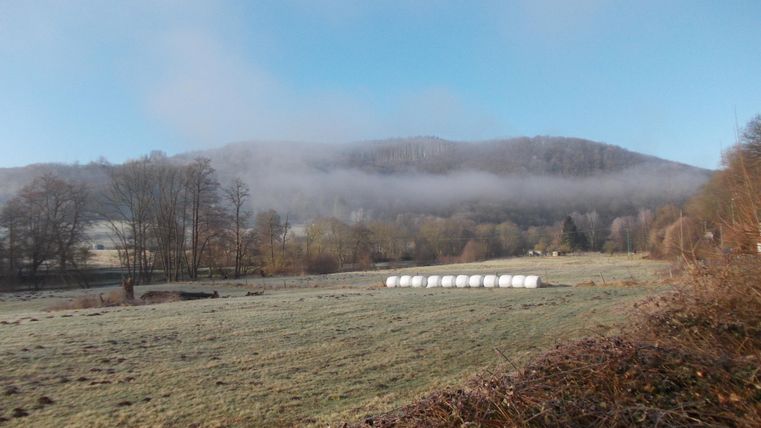 Ein nebliger Morgen über einem Feld mit Hügeln im Hintergrund. Weiße Ballen liegen gleichmäßig im Vordergrund.