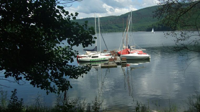 Mehrere Segelboote liegen ruhig auf einem See, umgeben von grünen Bäumen. Im Hintergrund sind sanfte Hügel und ein bewölkter Himmel zu sehen.
