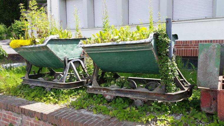 Zwei alte Schubkarren sind mit Pflanzen bepflanzt und stehen auf einer grünen Wiese. Im Hintergrund sind Fenster eines Gebäudes sichtbar.