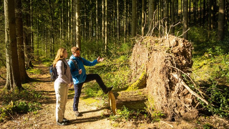 Twee personen staan in een bos en bekijken een omgevallen boomstam. De man wijst naar de boom, terwijl de vrouw aandachtig toekijkt.