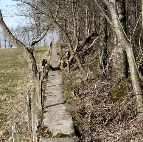 Waldpfad, © Monschau-Touristik