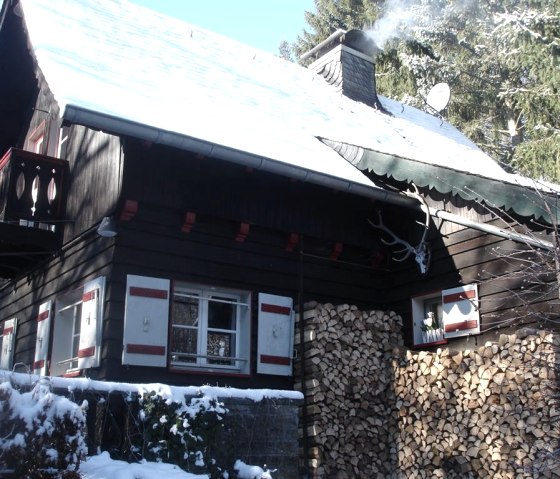 The house in winter