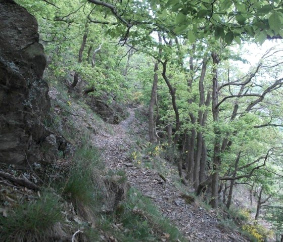Wanderpfad, © Eifel heimisch