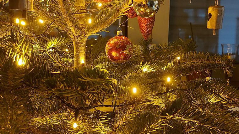 Ein geschmückter Weihnachtsbaum mit bunten Kugeln und glitzernden Lichtern. Die warmen Lichter sorgen für eine festliche Atmosphäre.