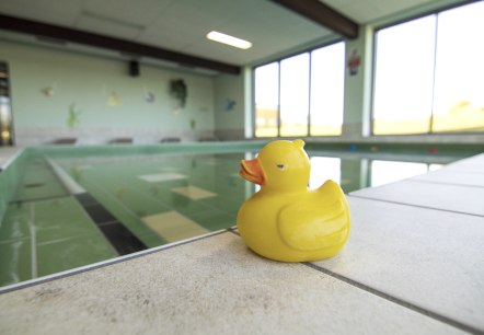 Badeente Schwimmerbecken, © Gemeinde Simmerath