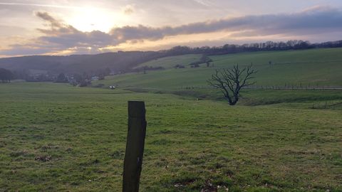 Eine weite Wiesenlandschaft mit sanften Hügeln und einem einzelnen Baum. Der Himmel ist bewölkt und die Sonne geht langsam unter.