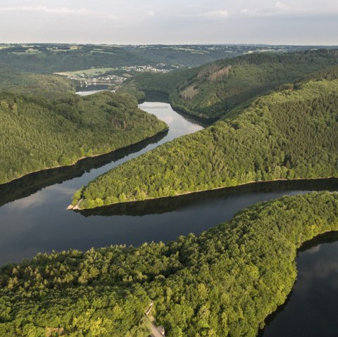 The Wasserlandroute hiking tour always leads along the water, © Eifel Tourismus GmbH/D. Ketz