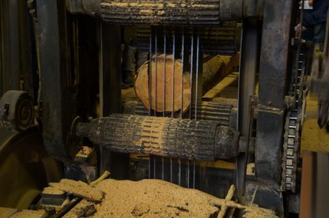 Eine Holzverarbeitungsmaschine mit einer Holzscheibe in der Mitte. Rund um die Maschine liegt Holzspäne.