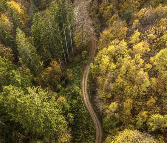 Sentier 75 - Püngelbach, © Eifel Tourismus GmbH, Dominik Ketz