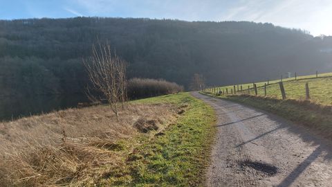 Ein ruhiger Weg, der durch eine grüne Landschaft führt. Im Hintergrund sind sanfte Hügel und ein klarer Himmel zu sehen.