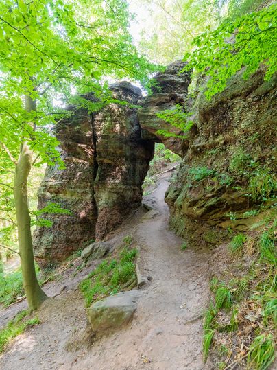 Das natürliche aus Felsen bestehende Hindenburgtor im Wald bei Nideggen