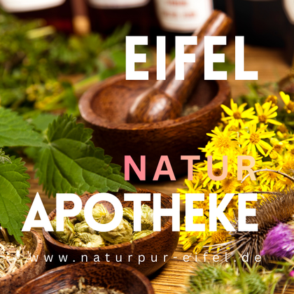 Eine Auswahl an Kräutern und Pflanzen in Holzschalen. Die Szene vermittelt eine natürliche und apothekerliche Atmosphäre.